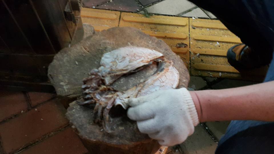 전주 가맥 축제.. | 인스티즈