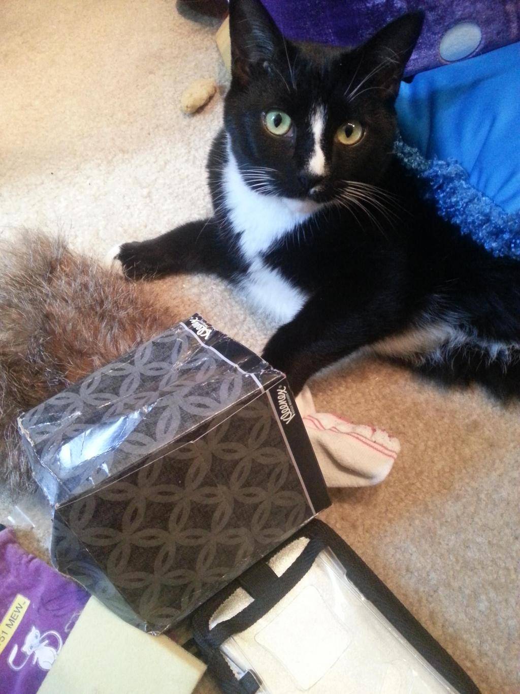 보자보자 하니까 주인 ㅆ바넘이 | 인스티즈