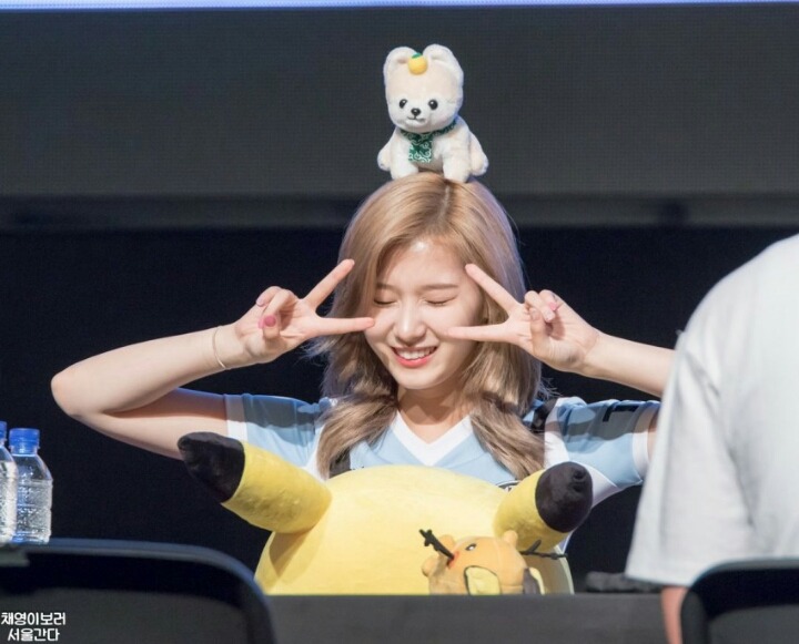 트와이스 사나 | 인스티즈