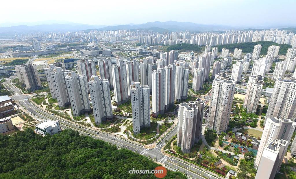 세계의 도시공학자들이 한 목소리로 말하는 한국 도시의 문제점 | 인스티즈