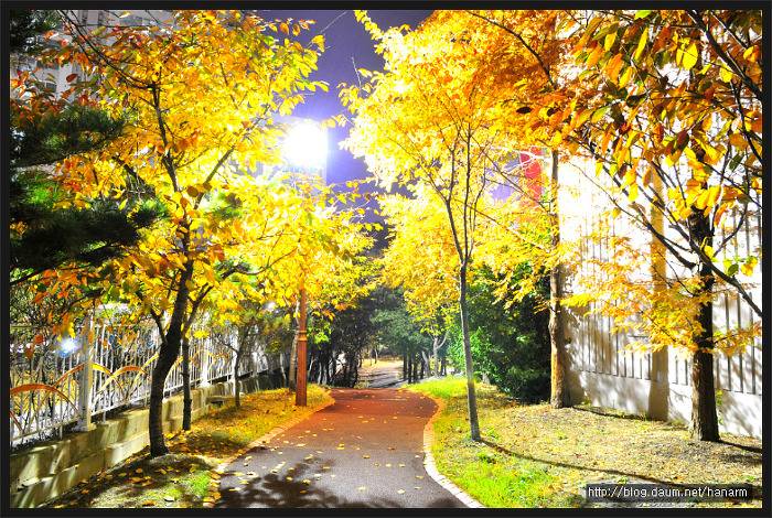 우리나라의 예쁜 아파트야경 모음 | 인스티즈