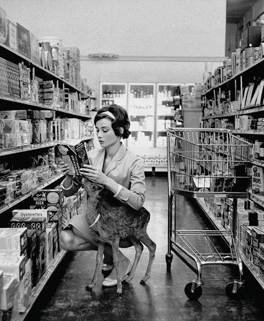 흑백이 교차되는 역사속 인물사진 (gif, | 인스티즈