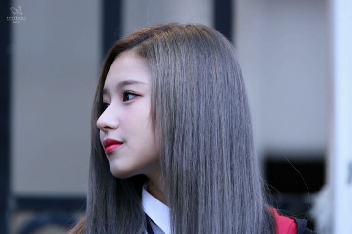 트와이스 사나 미모 변천사 | 인스티즈