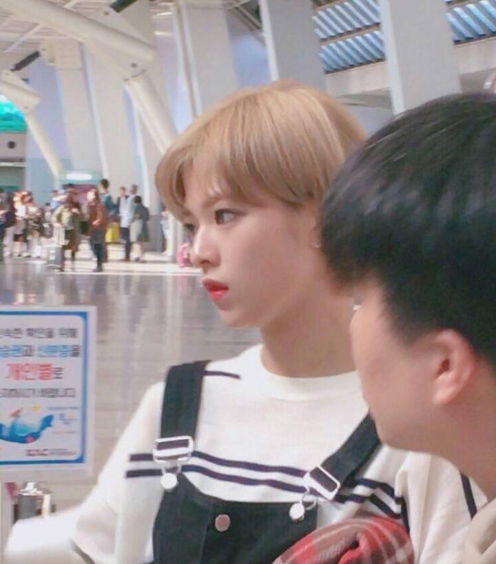 타팬이 찍은 트와이스 정연 직찍 | 인스티즈