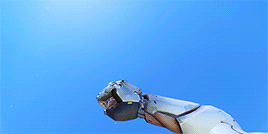 오버워치 장전 | 인스티즈