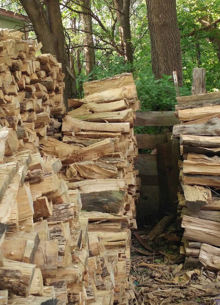 숨은 고양이 찾기.jpg | 인스티즈