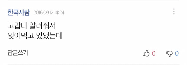 소라넷 부활 기사 다음 댓글.jpg +추가 | 인스티즈