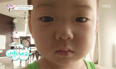 걸어다니는 애교주머니 민국이 모음 (데이터주의!) | 인스티즈