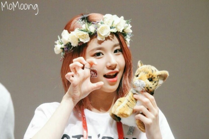 [트와이스] 채영이가 아기맹수인 이유 | 인스티즈