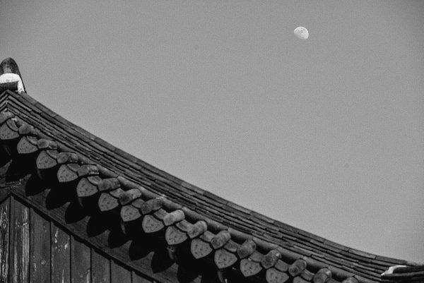 [달의연인] 이준기 아이유 새드라마 스케일.jpgif | 인스티즈