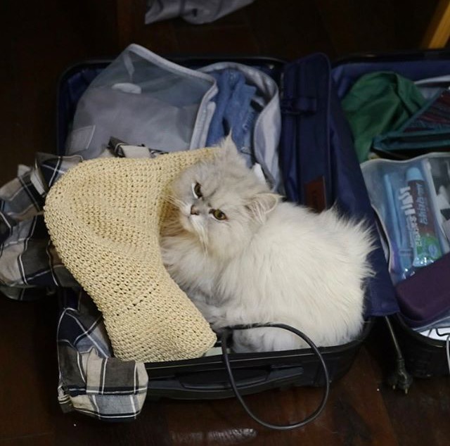 효리네 민박 비하인드 컷 | 인스티즈