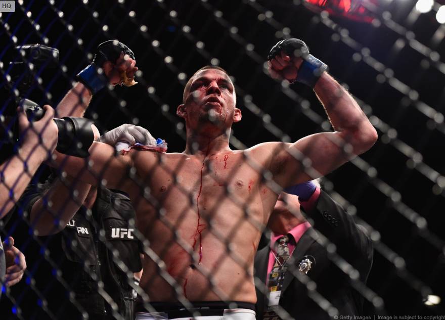 코너 맥그리거 vs 네이트 디아즈 경기 사진 (고화질) | 인스티즈