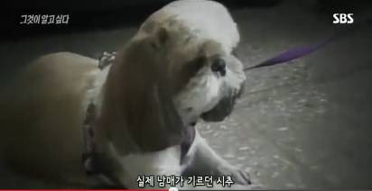 그것이알고싶다 비극의상견례 3편 | 인스티즈