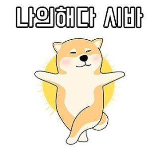 나의 해다 시바 | 인스티즈