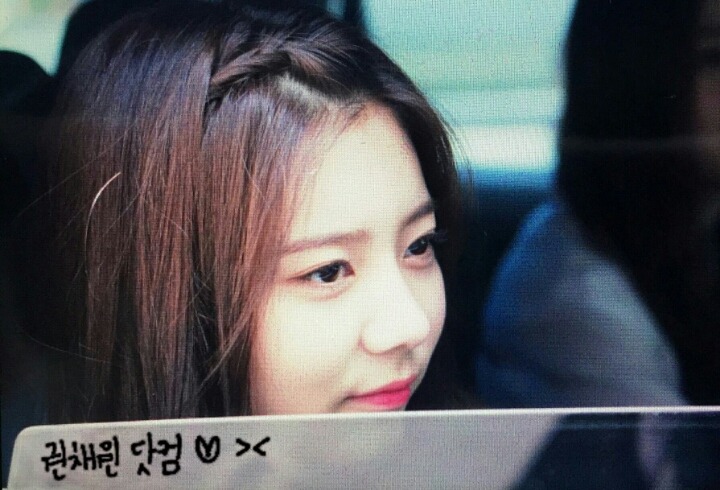 다이아 은채 (귀여움 주의) | 인스티즈