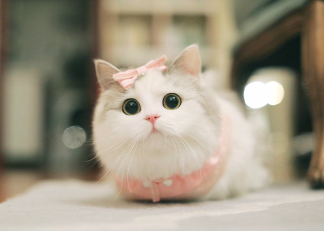 회사에 출근을 못한 이유 | 인스티즈