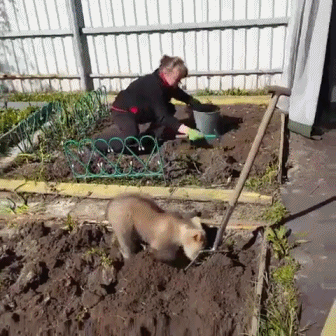 할무니 따라하는 곰 | 인스티즈
