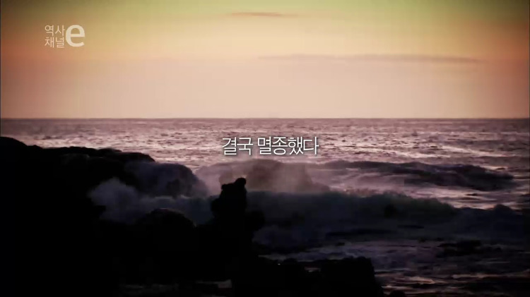 일본의 뻔뻔함 | 인스티즈