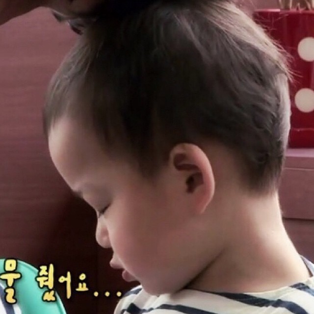 걸어다니는 애교주머니 민국이 모음 (데이터주의!) | 인스티즈