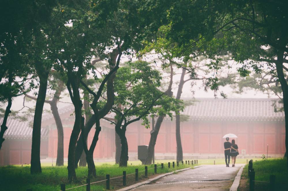 외국인이 촬영한 한국 풍경 | 인스티즈