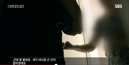 그것이알고싶다 비극의상견례 3편 | 인스티즈