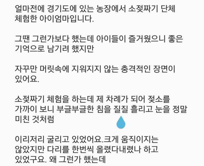사람들이 잘 모르는 동물학대.. | 인스티즈