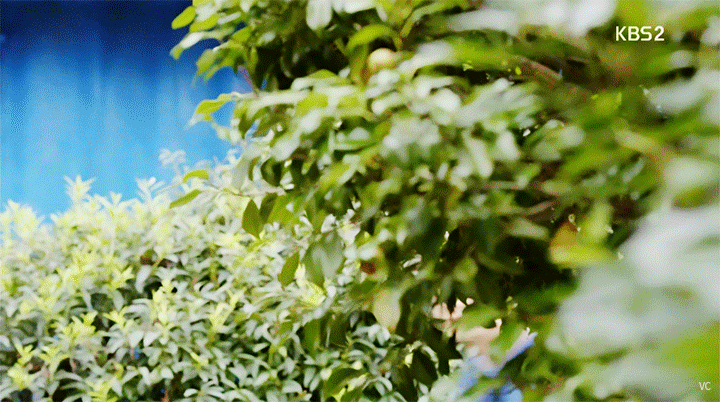 주열매 vs 한여름 | 인스티즈