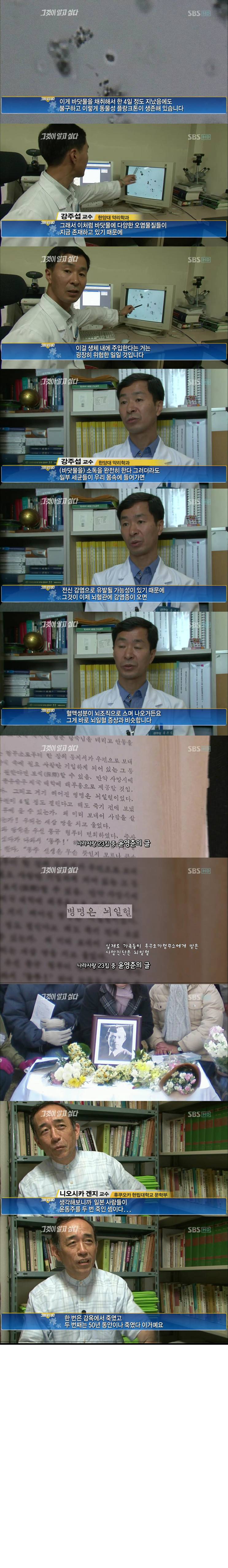 윤동주 시인이 왜 죽었는지 아시나요? | 인스티즈