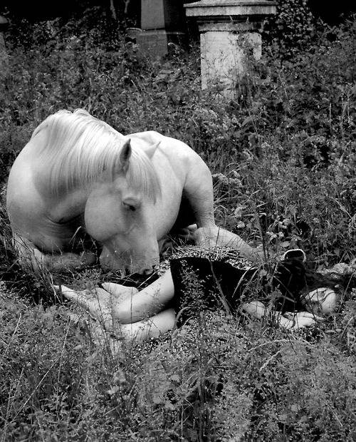 소녀와 아이들을 주로 카메라에 담은 분위기있는 포토그래퍼 . jpg | 인스티즈