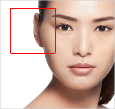 평생동안 자라는 신체부위 | 인스티즈