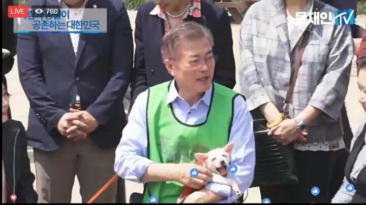 개와 문재인.jpg | 인스티즈
