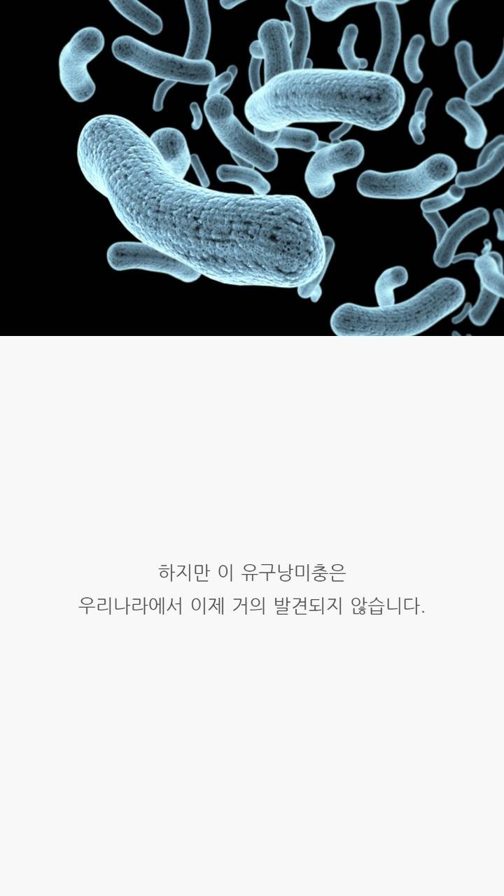 돼지고기는 바짝 익혀먹어야한다는 말의 진실 | 인스티즈