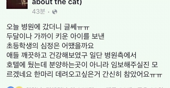 초딩이 동물병원에 냥이 네마리 두고간 사연 ㅠㅠ | 인스티즈