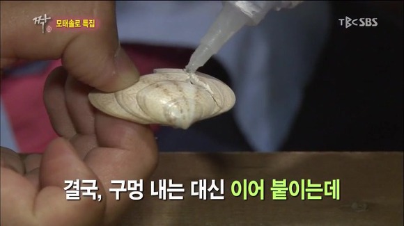 정말 다시했으면 하는 리얼리티 예능 | 인스티즈