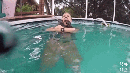 사람이 너무 좋은 수달이들.gif | 인스티즈