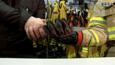 미국의 소방관 장갑 | 인스티즈