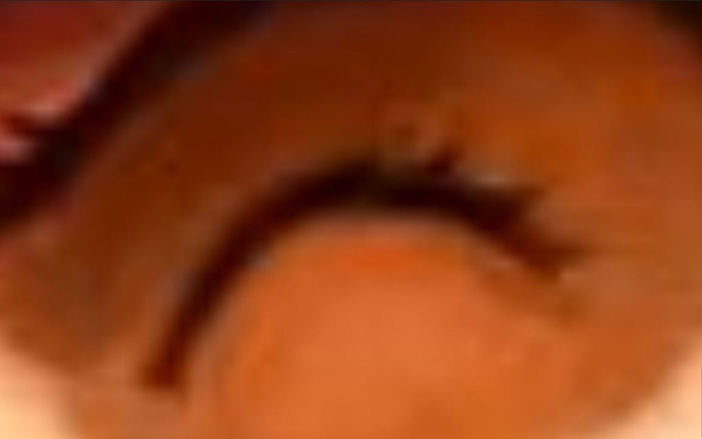 정찰대의 규율을 깔보지 마시길 | 인스티즈