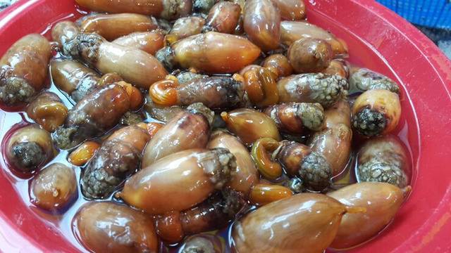 호불호 갈리는 해산물.jpg | 인스티즈