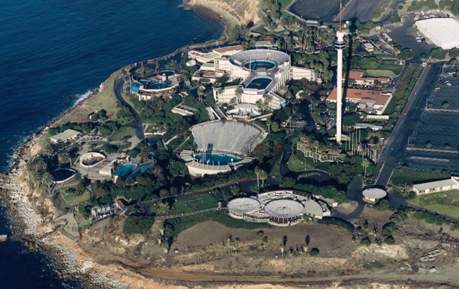 전세계 수족관에 백상아리가 없는 이유.jpgif | 인스티즈