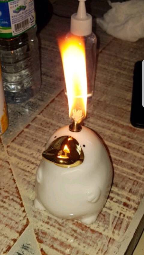 오리너구리씨는 화가 많이 났어 | 인스티즈