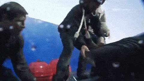 전세계 수족관에 백상아리가 없는 이유.jpgif | 인스티즈