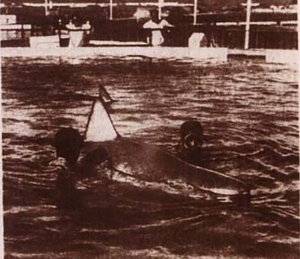 전세계 수족관에 백상아리가 없는 이유.jpgif | 인스티즈