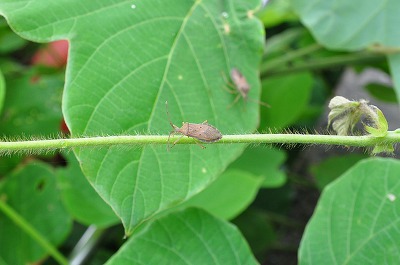 군필자들 특징.jpg | 인스티즈