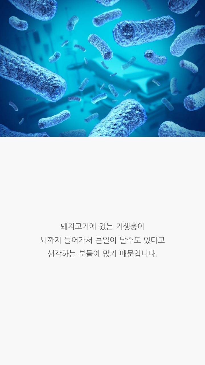 돼지고기는 바짝 익혀먹어야한다는 말의 진실 | 인스티즈