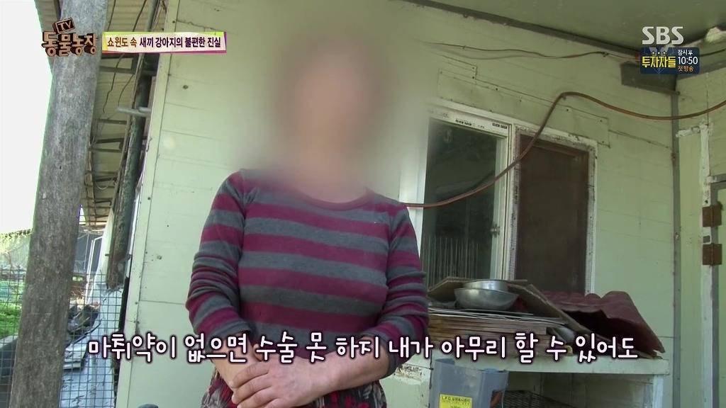 충격과 공포의 오늘자 동물농장(혐오주의) | 인스티즈
