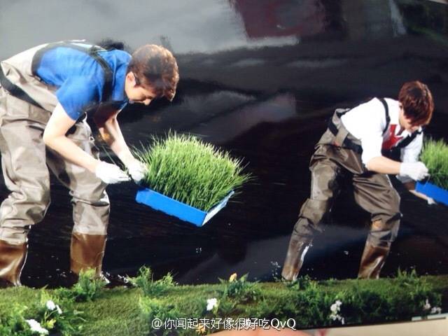 도쿄대보다 가기힘들다는 일본의 학교 | 인스티즈