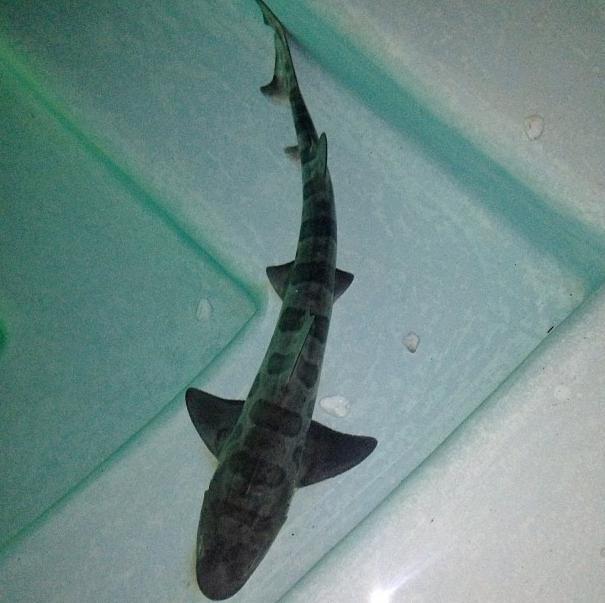 진짜억만장자의사생활 | 인스티즈