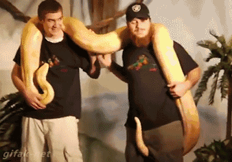 성희롱 | 인스티즈