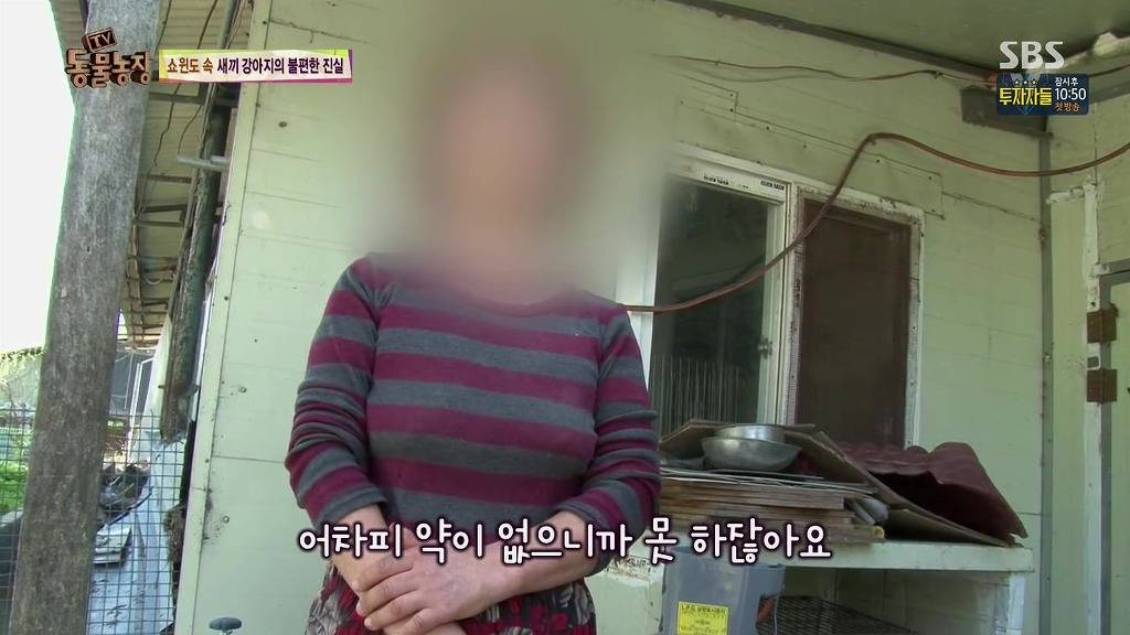 충격과 공포의 오늘자 동물농장(혐오주의) | 인스티즈