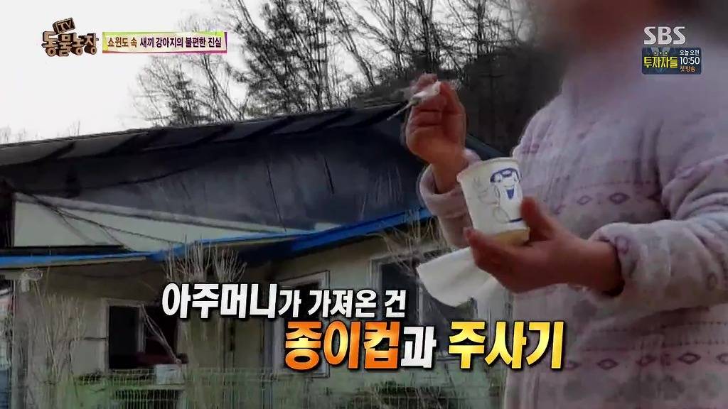 충격과 공포의 오늘자 동물농장(혐오주의) | 인스티즈